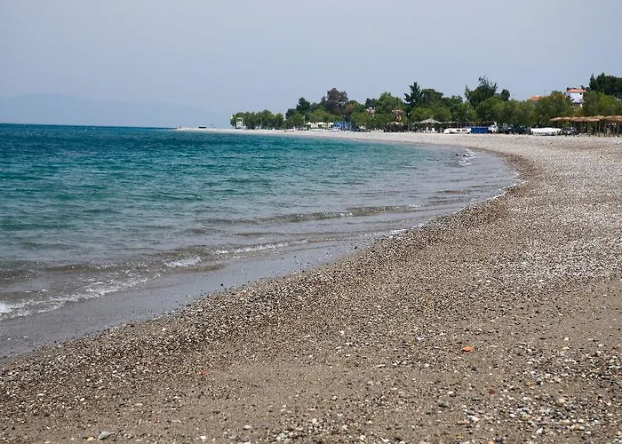 Irene Apartment Pefki (Evia)